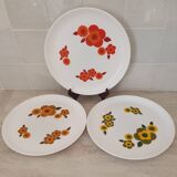 3 flat plates Lotus by Arcopal