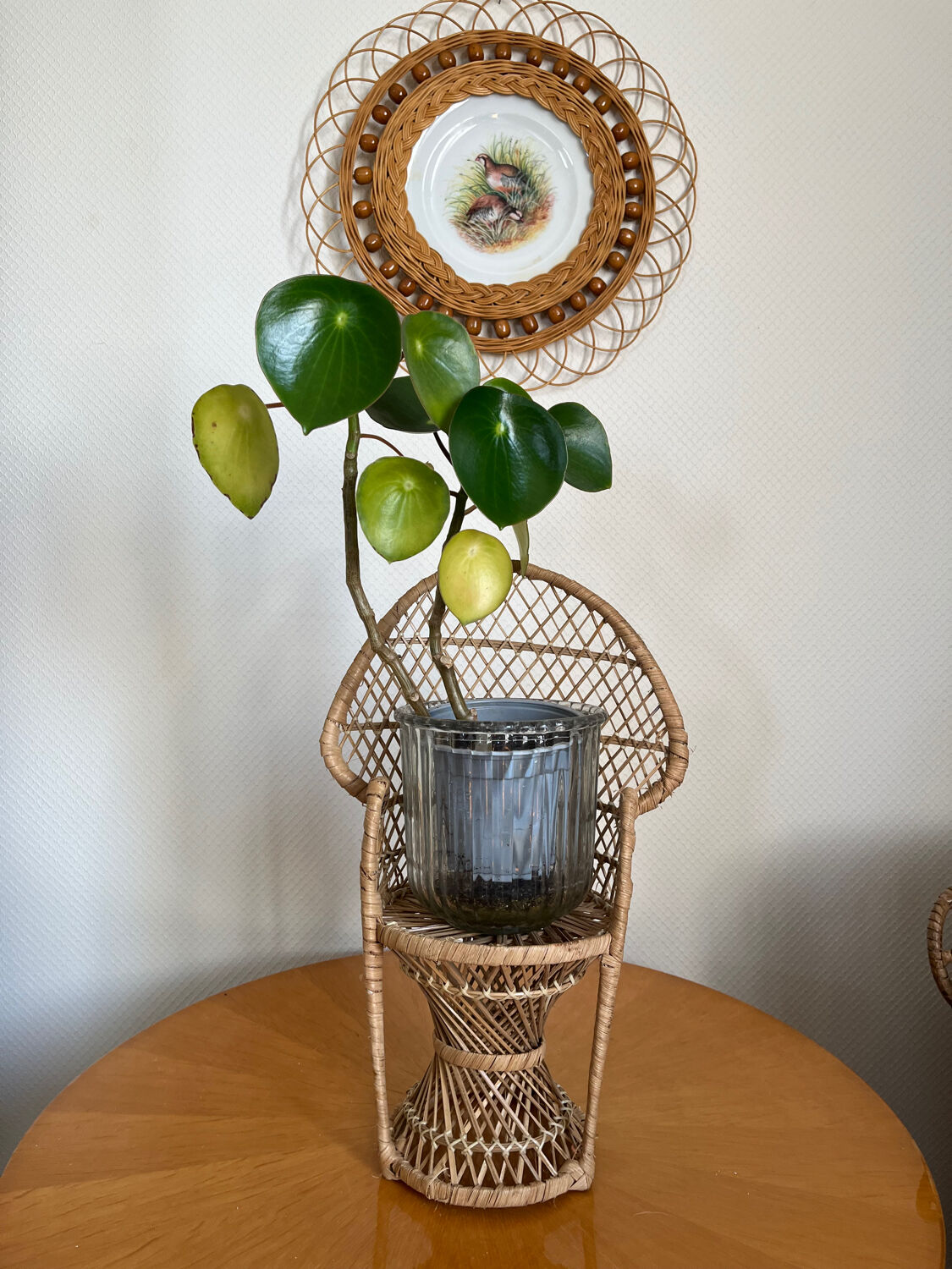 Emmanuelle vintage rattan plant holder