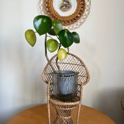 Porte-plante Emmanuelle en rotin vintage