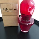 Ruby potted cactus vase