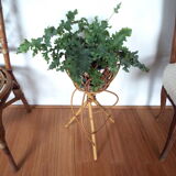 Rattan plant holder