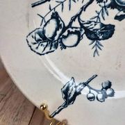 Plate Terre de Fer HB & Cie Choisy-le-Roi – Bird & fruits – 19th century