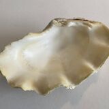 Holy water clam shell - 20x13x5 cm - Natural - 700g