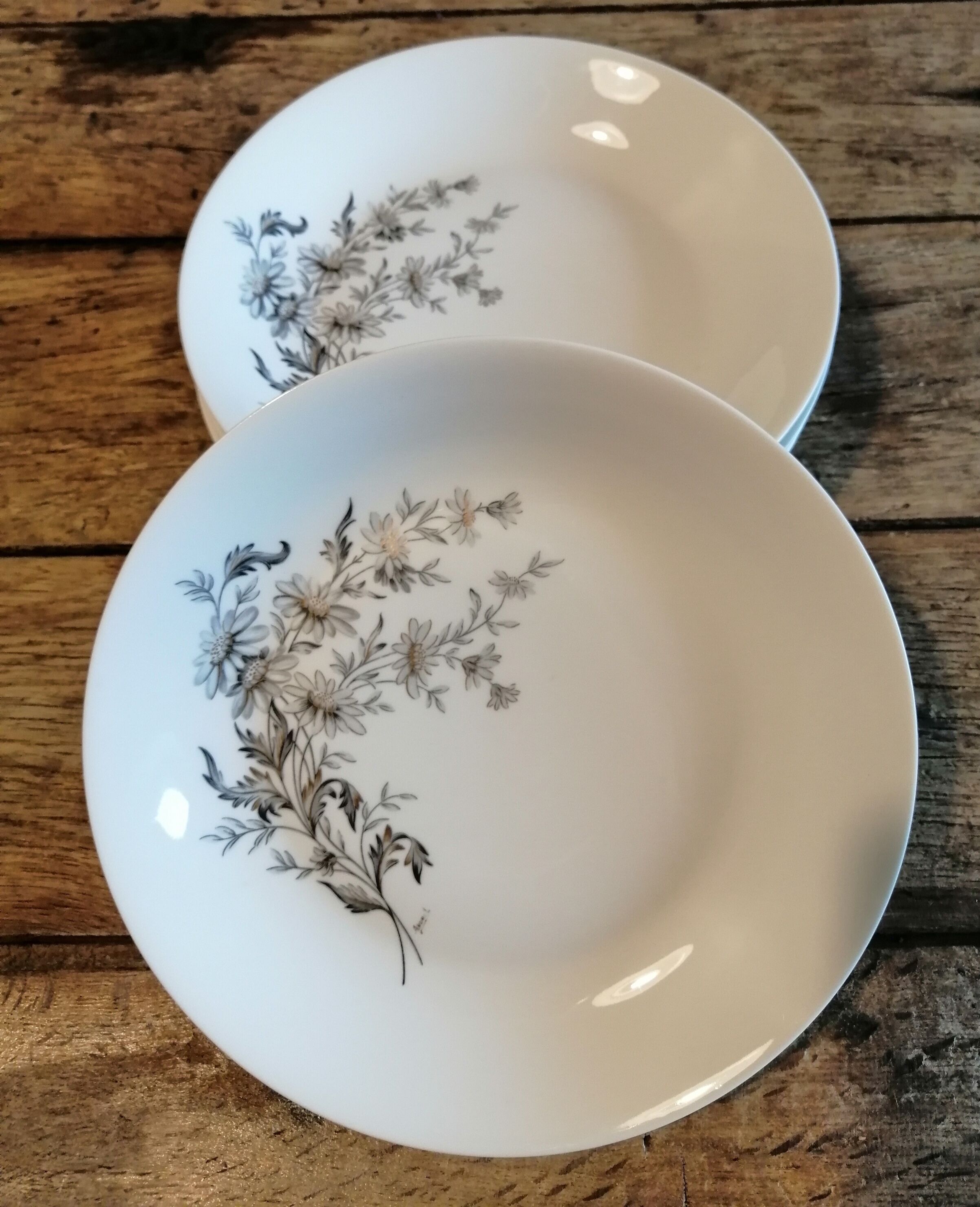 6 porcelain hollow plates