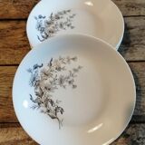 6 porcelain hollow plates