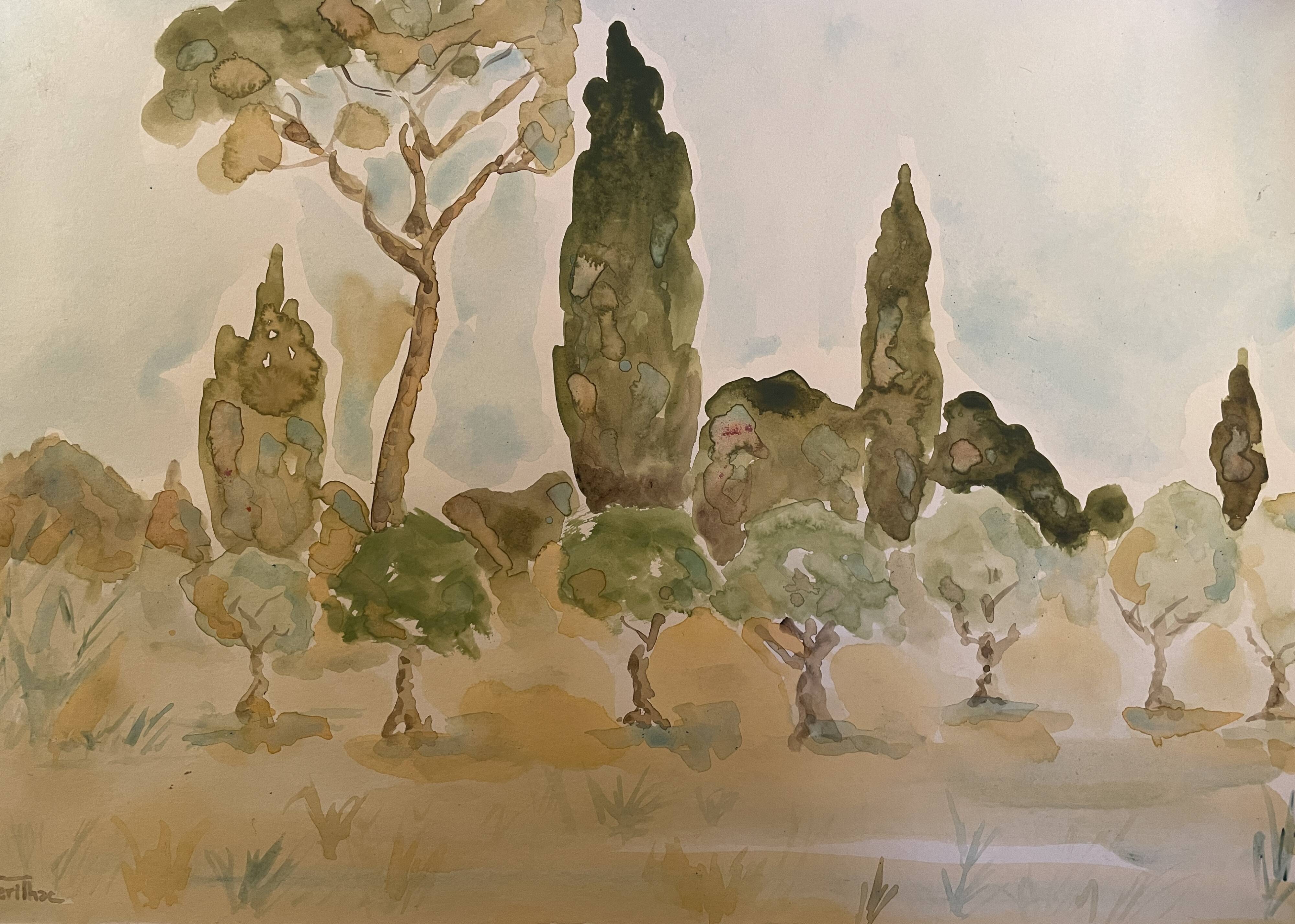 Signed watercolor painting “olive tree field in Provence”