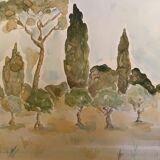Signed watercolor painting “olive tree field in Provence”
