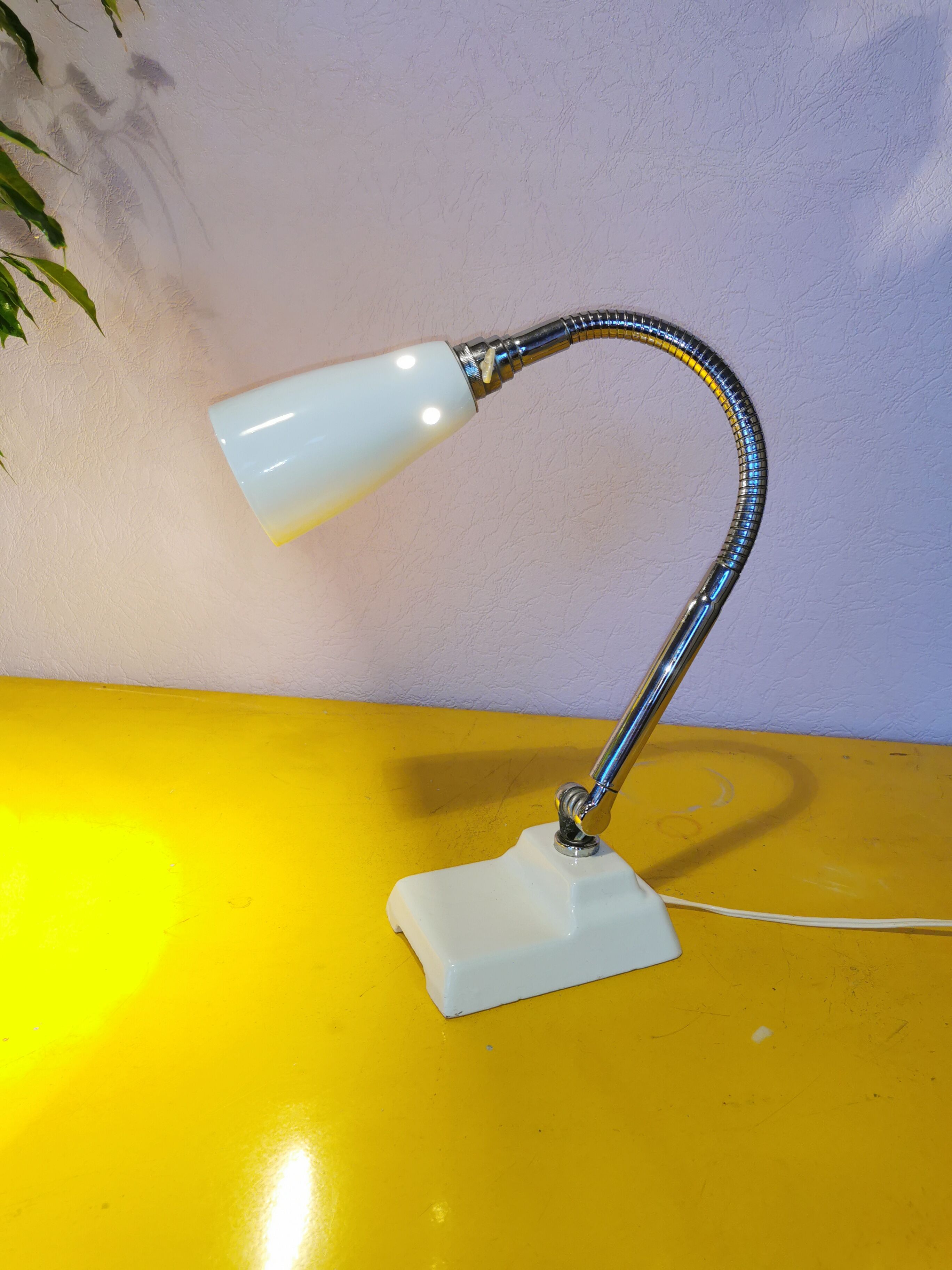 Kieklair natural science lamp, France, 1958