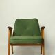Fauteuil vintage en velours d'herbe verte chaise en bois salon
