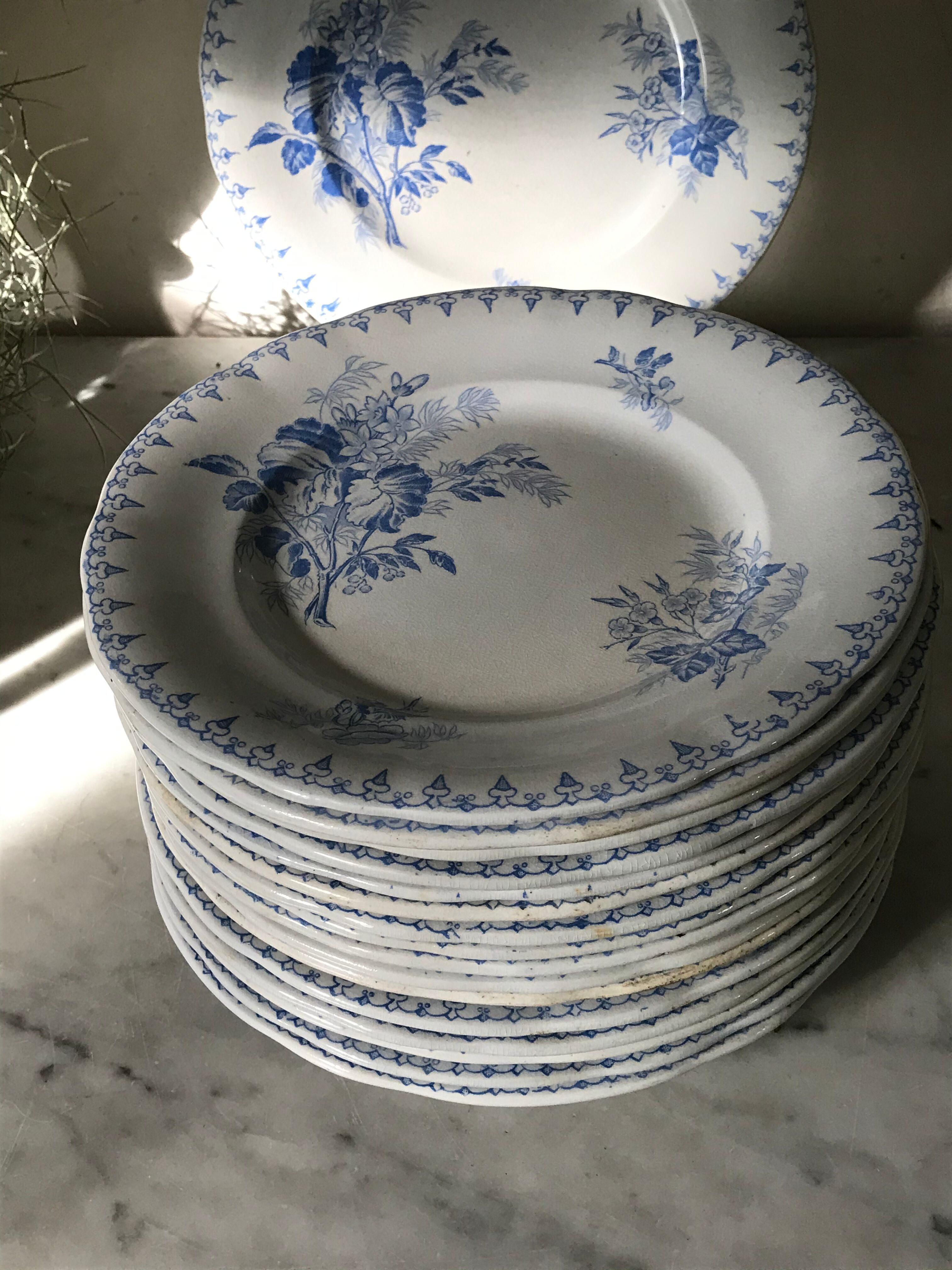 9 flat plates Sarreguemines
