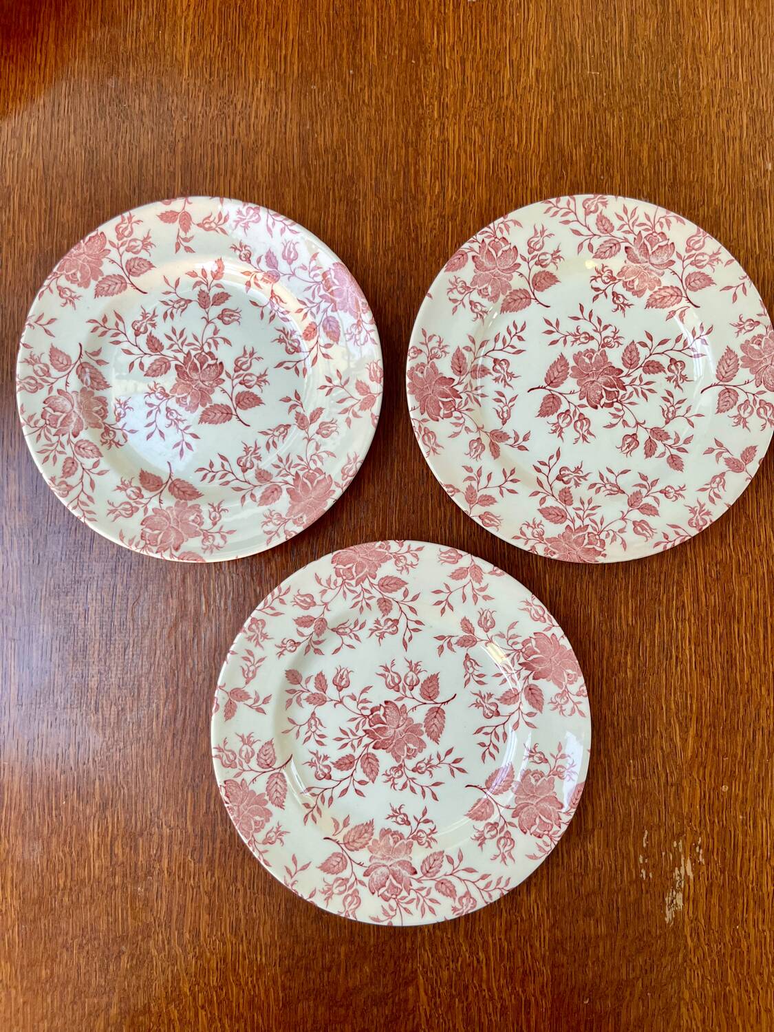 Set of 6 vintage plates in English earthenware.