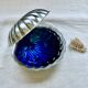Shell butter dish blue