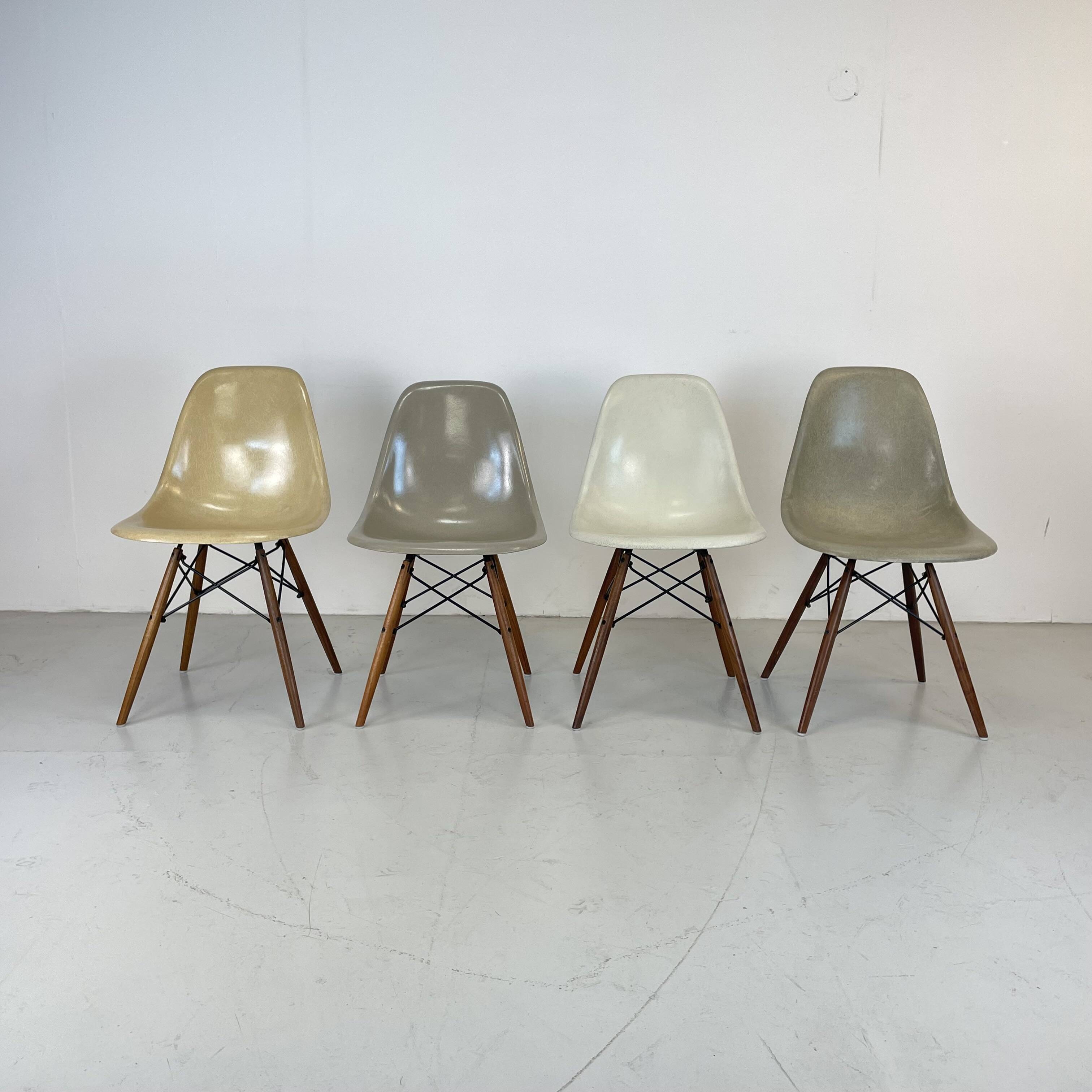 Chaises d'appoint Eames Herman Miller DSW en grège, vert écume de mer, ocre clair et parchemin avec léger