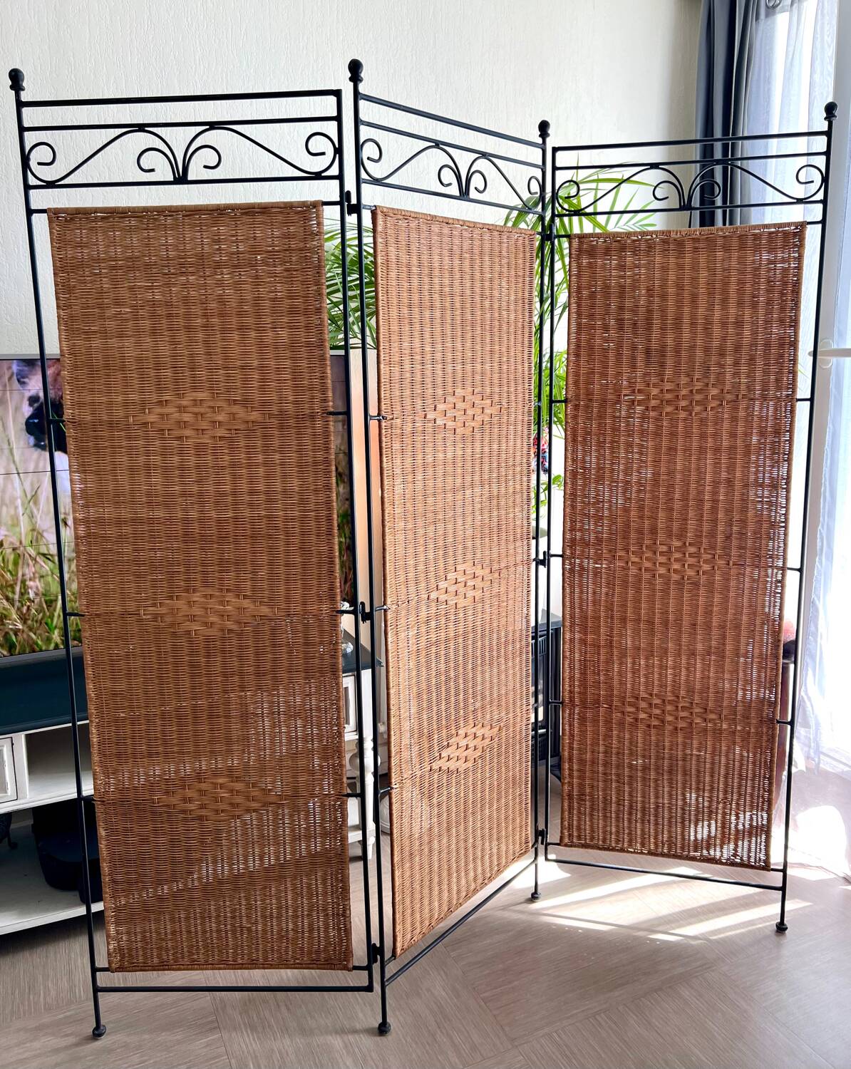 Wrought Iron and Rattan Screen