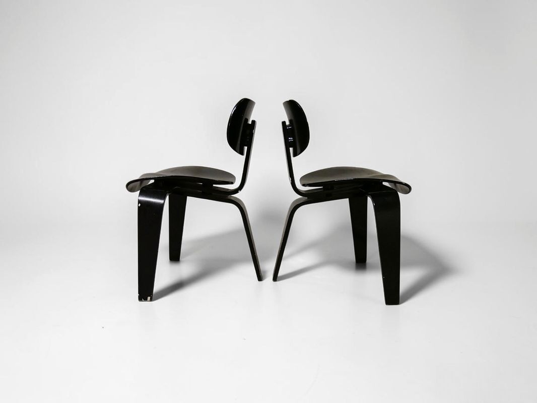 Paire de chaise "SE 42" de Egon Eiermann - Vintage