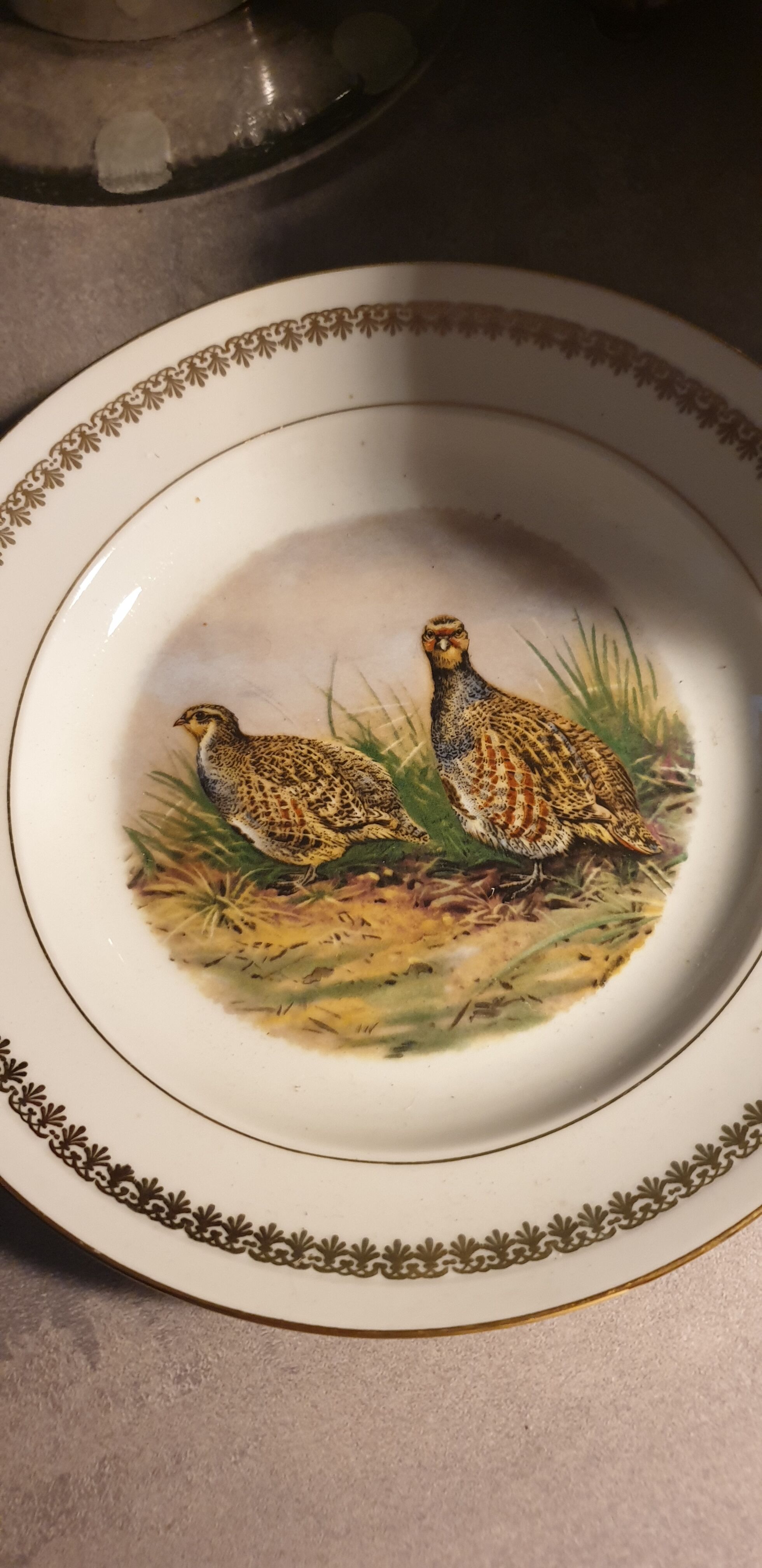 Game plates pl france
