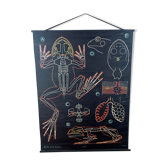 Dr. Auzoux's school poster: The Frog