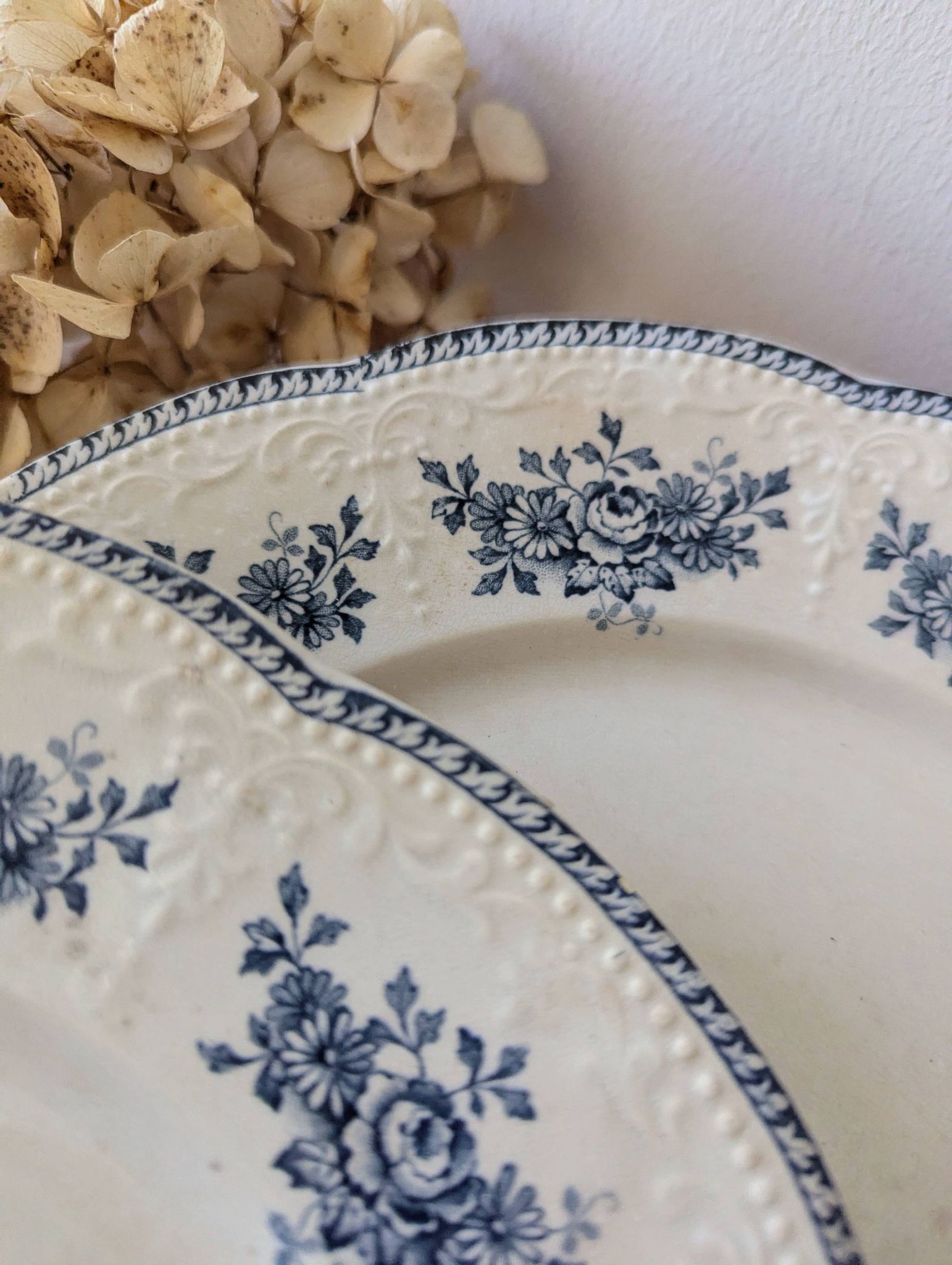 Lot of 10 old Badonviller Richelieu ironstone plates
