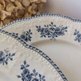 Lot of 10 old Badonviller Richelieu ironstone plates