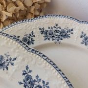 Lot of 10 old Badonviller Richelieu ironstone plates