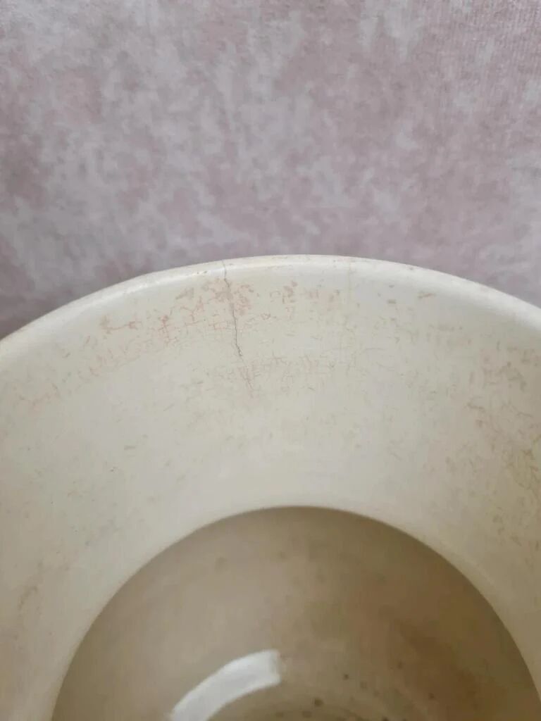 Antique pitcher Jules Vieillard Bordeaux – Chardon model – Ironstone