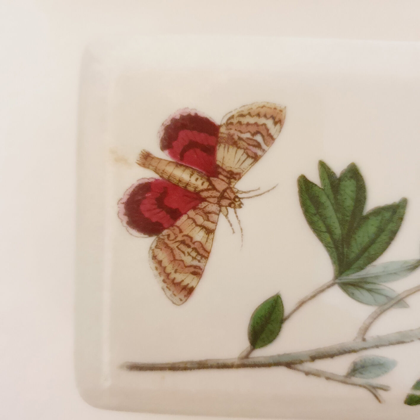 English ceramic butter dish