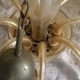 Antique lustre