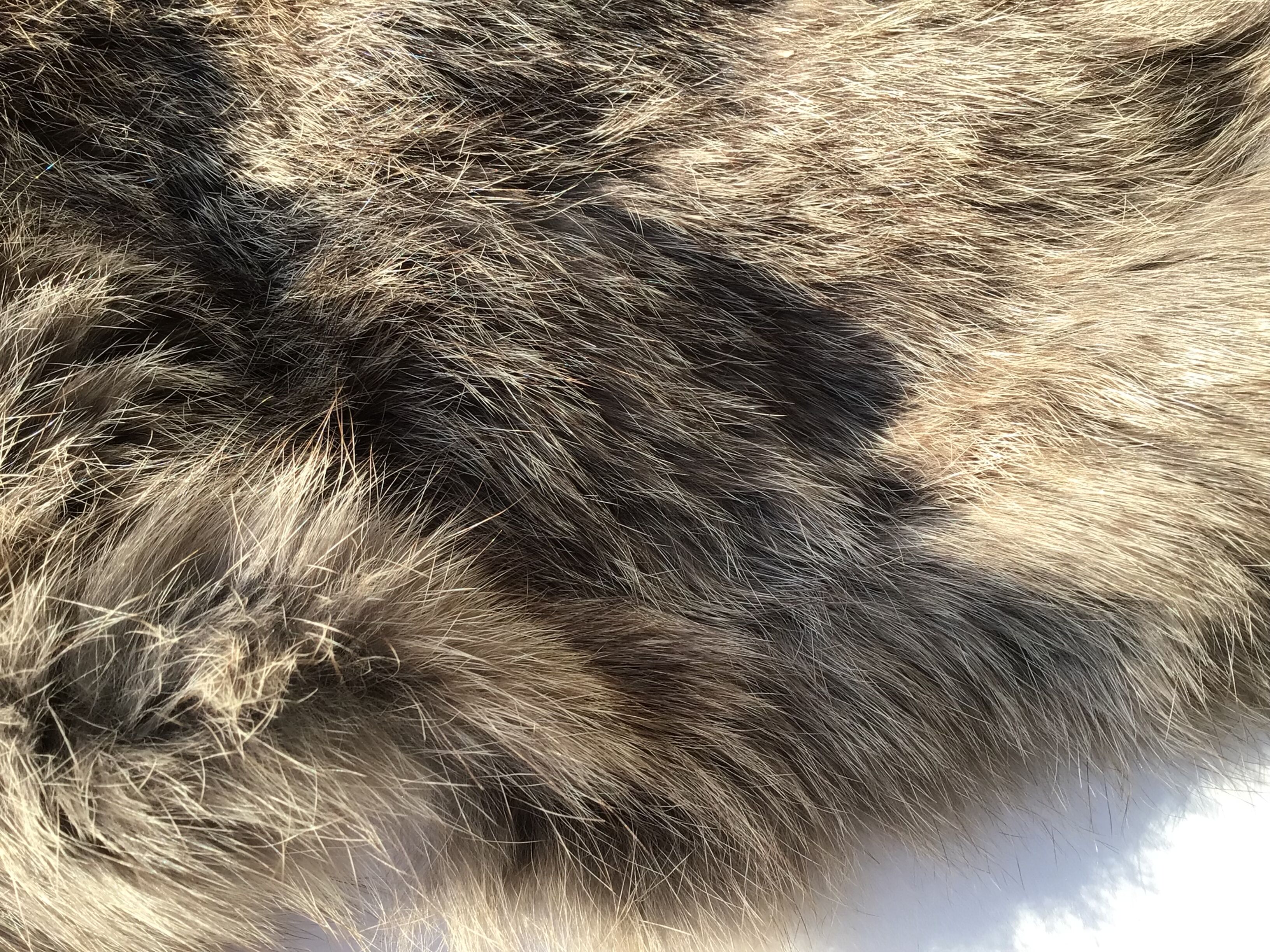 Rabbit skin brown taupe