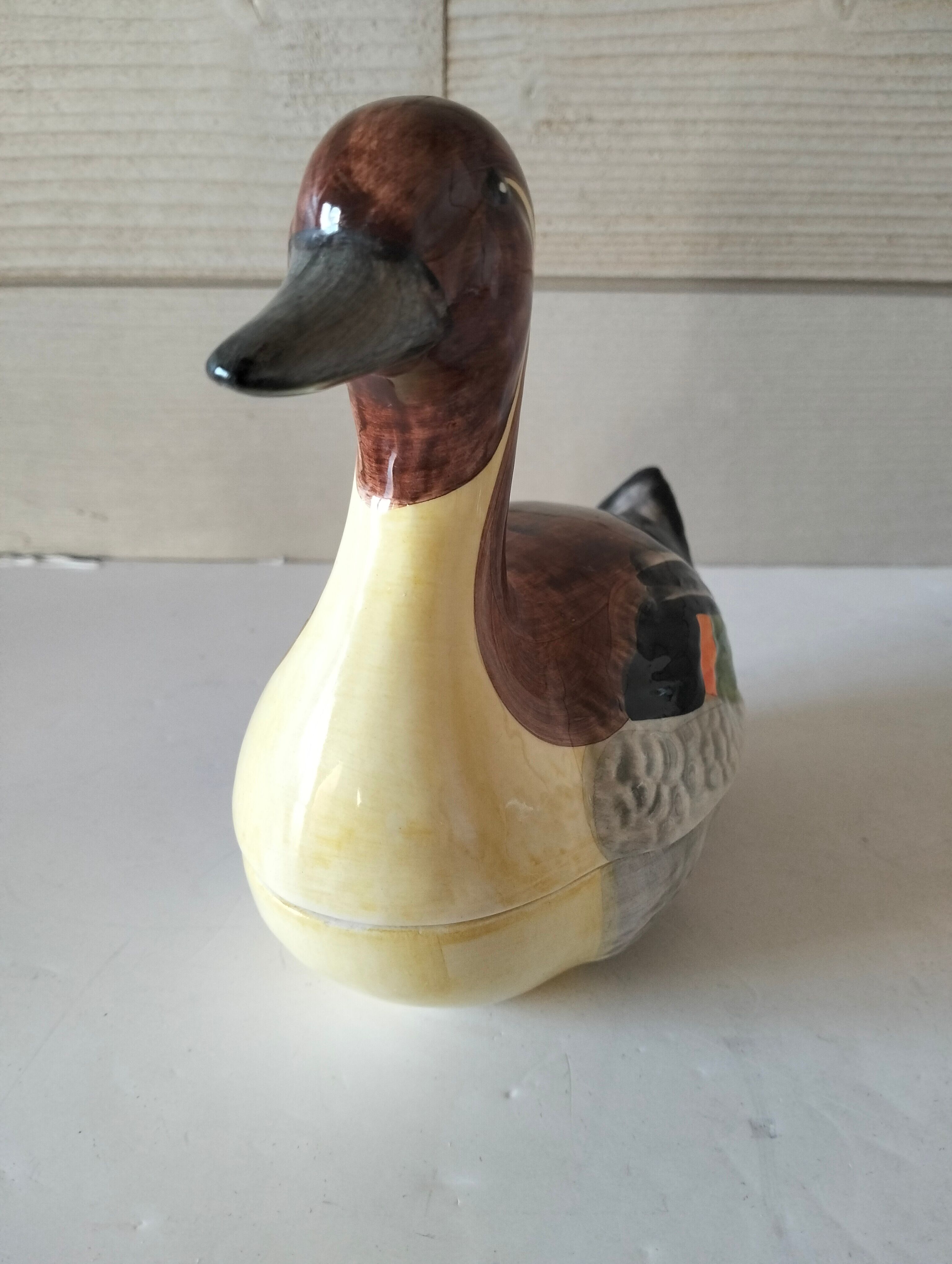 Duck slipcast