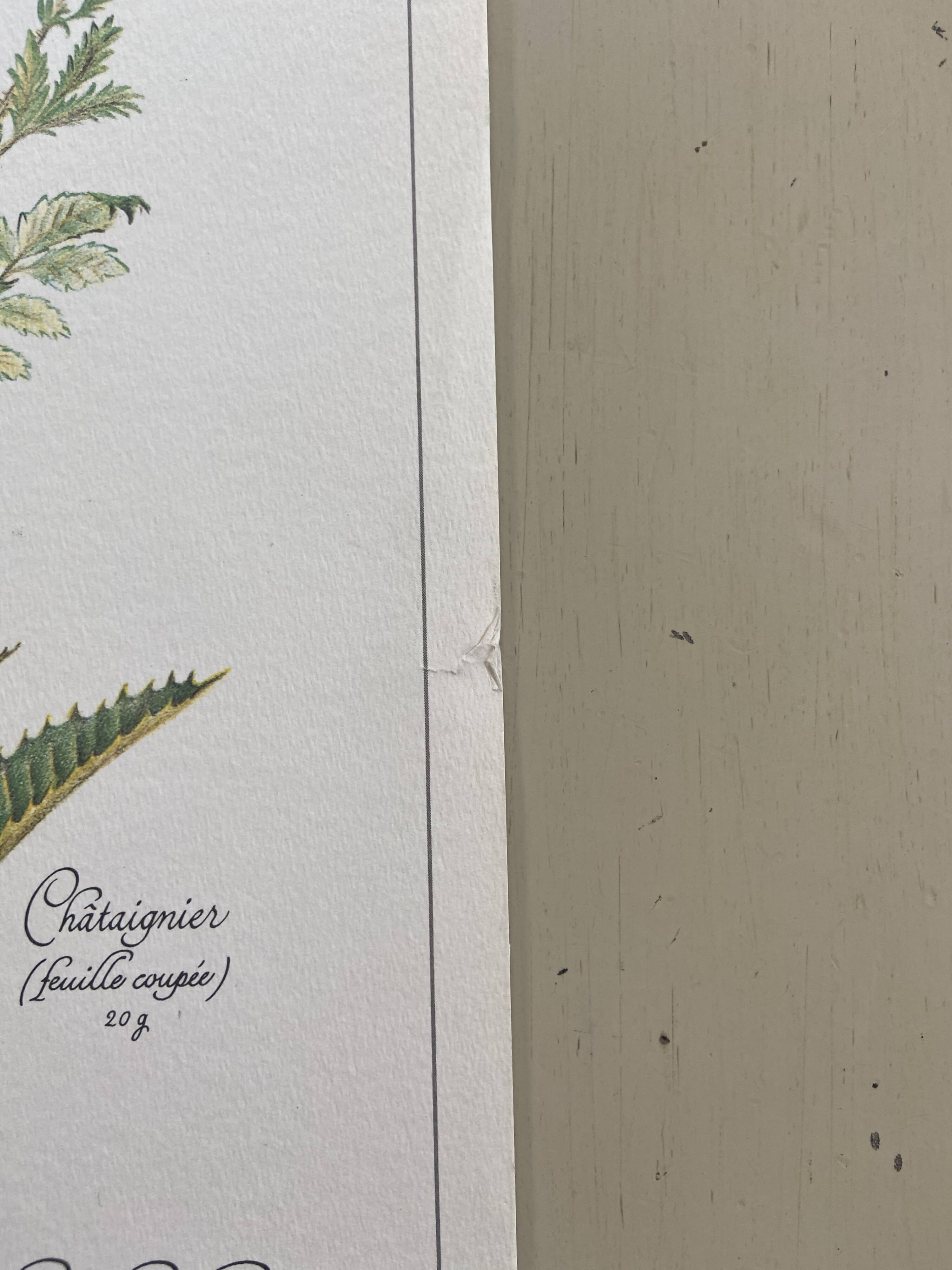 Botanical plank "Tisane against mild diarrhea"