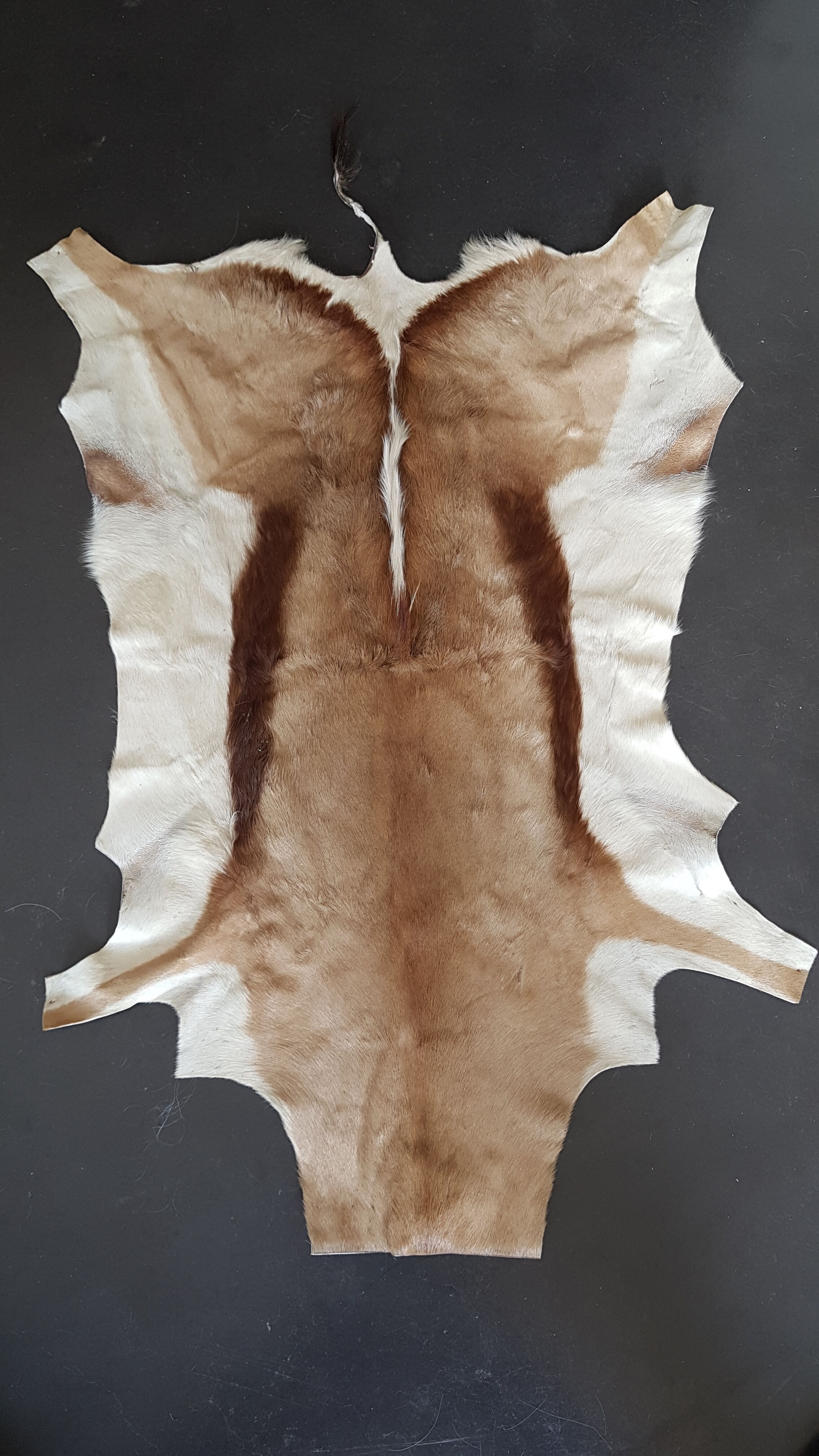 Natural goat skin 117x83cm