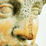 Antique 19th/20th century substantial terracotta Roman Michelangelo David Bust