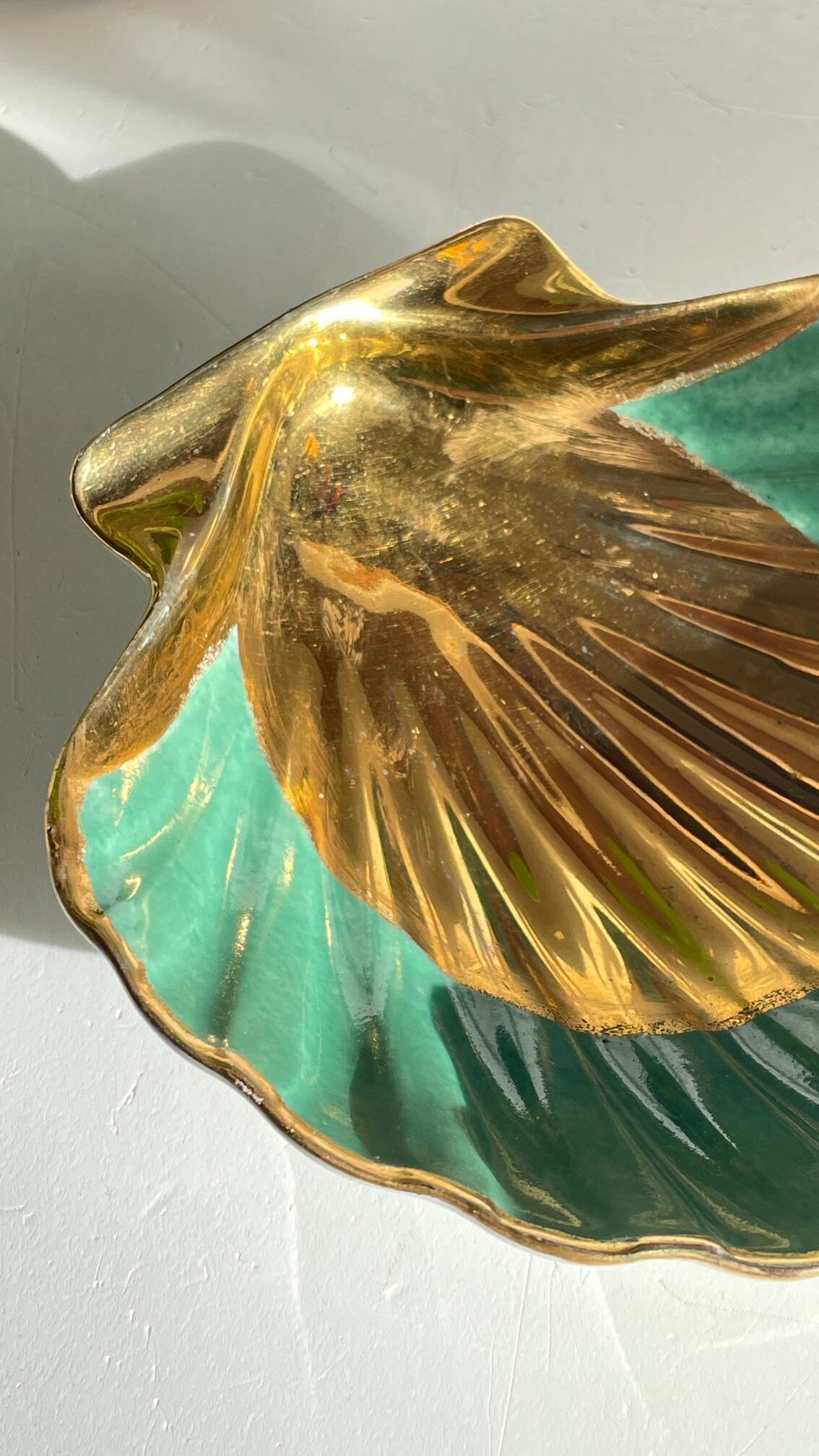 Shell-shaped empty pocket Limoges FRANCE