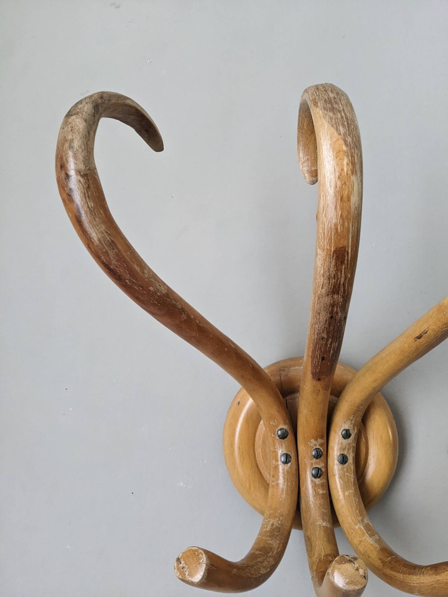 Porte manteau thonet vintage en bois courbé