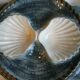 Oyster dish in majolic or dabbling for 12 shells