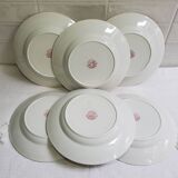 Lot de 6 assiettes à soupe de St amand modèle Champagne, terre de fer
