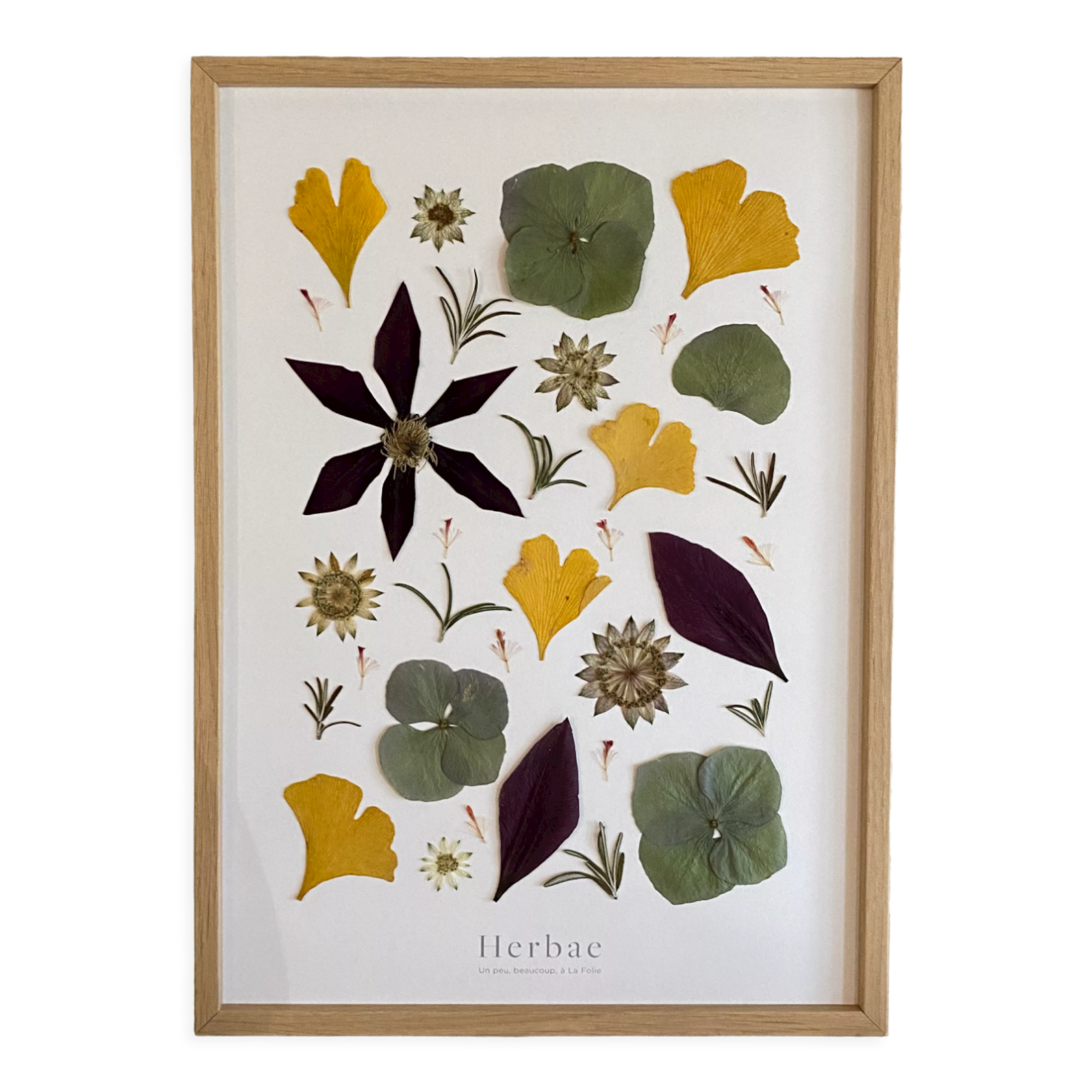 Framed herbarium Matisse