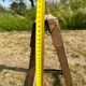 Table and trestles fir tray