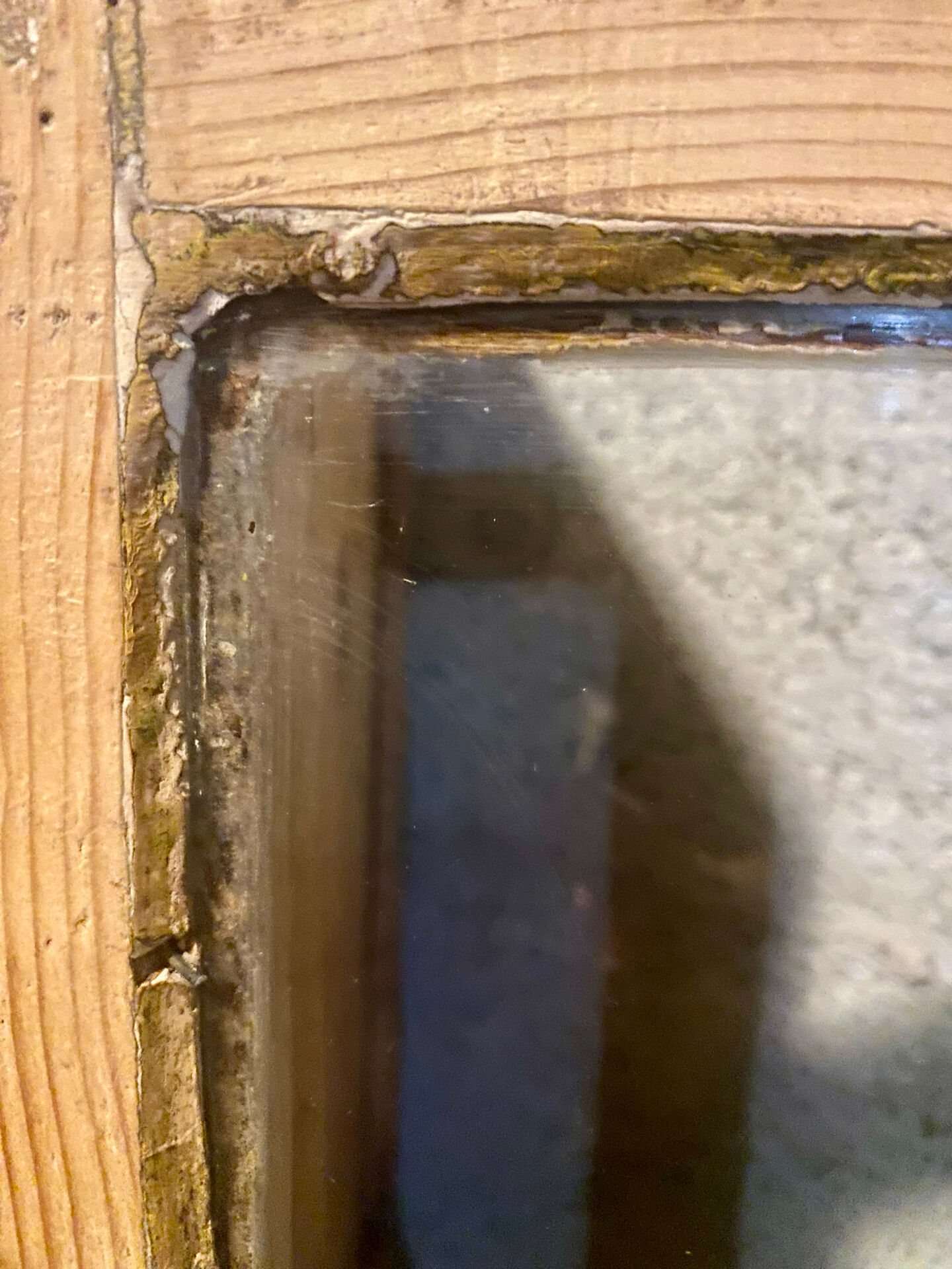 Pine display cabinet