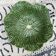 Large earthenware salad bowl in the shape of a cabbage leaf.