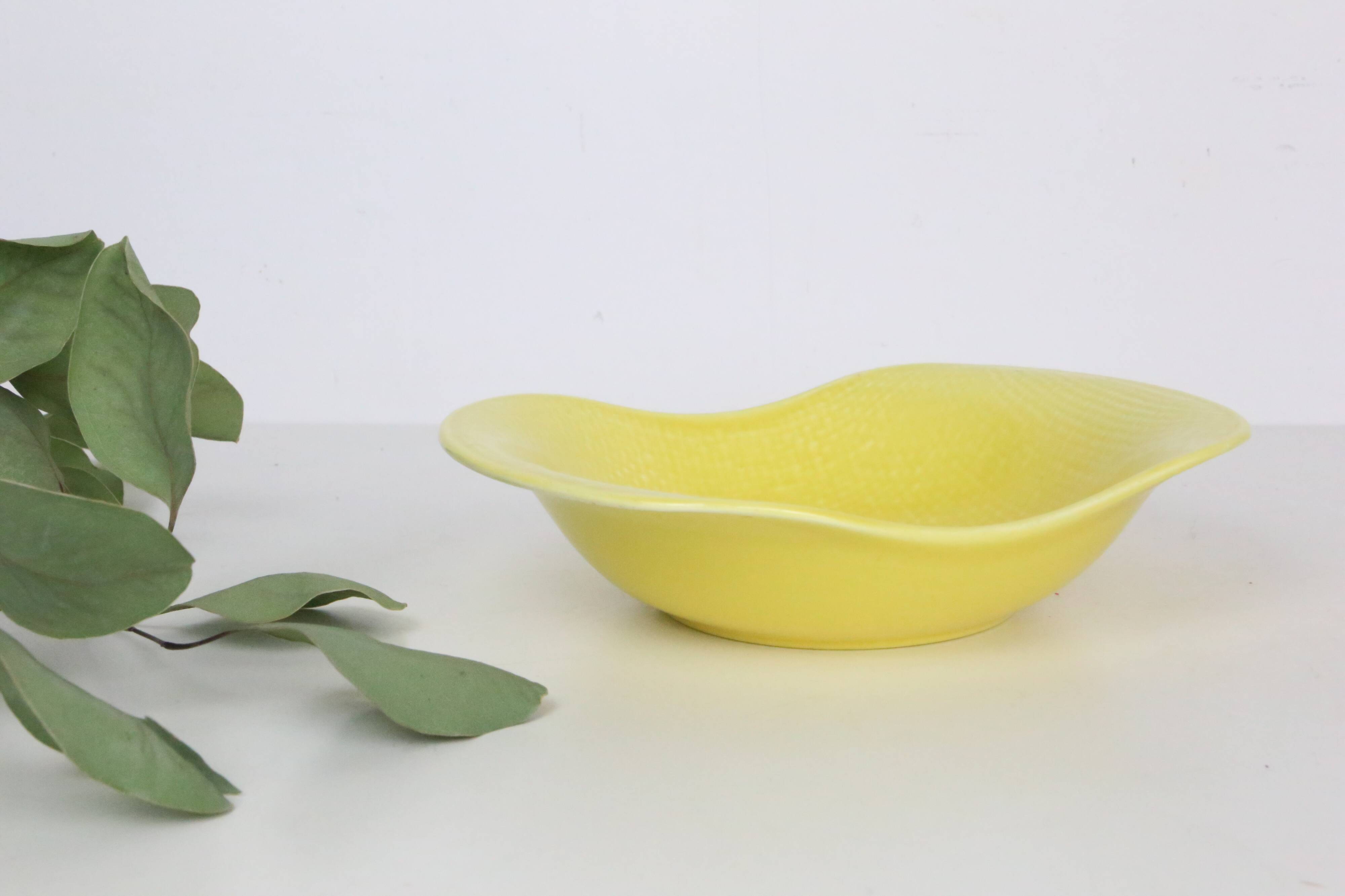 Salins ceramic bowl, 70', French manufacture