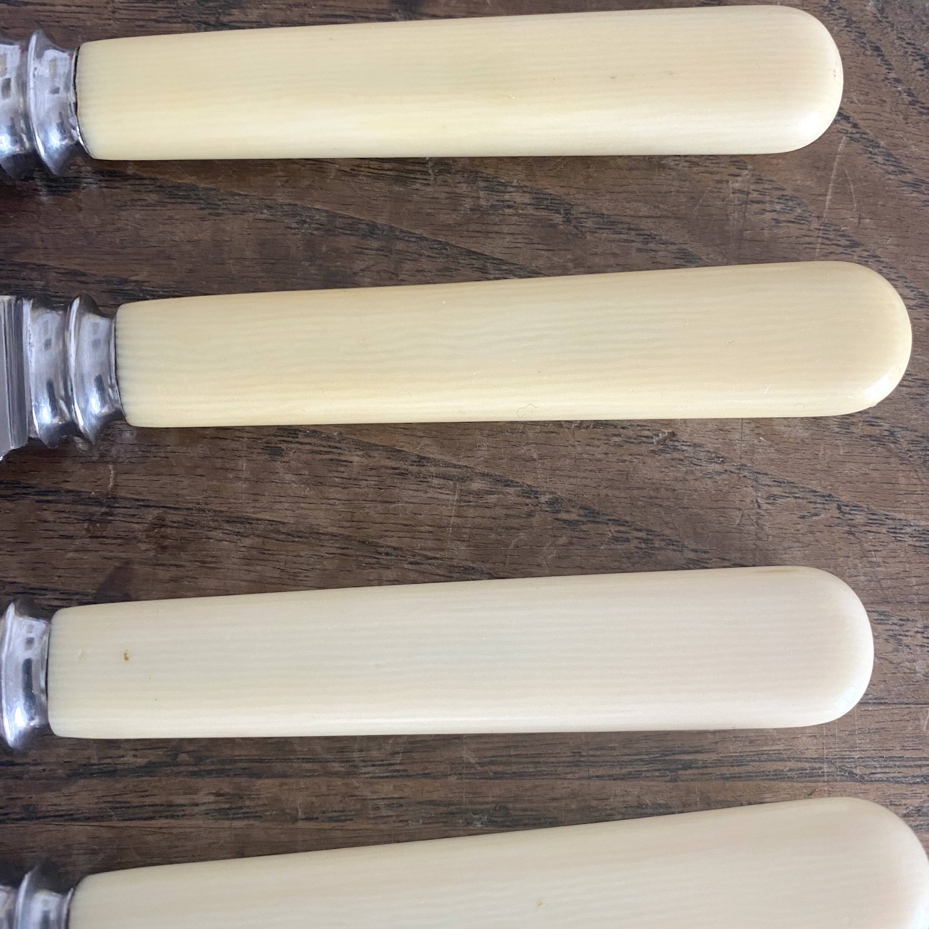 6 Philip Ashberry & Sons knives made in Sheffield England 21 cm