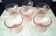6 glass ice cream or sorbet bowls Luminarc Model Rosaline