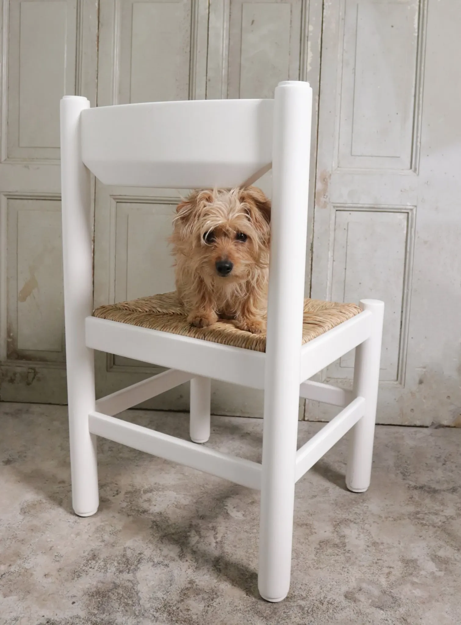 Set of 4 white rush dining chairs – Magistretti / Perriand style, 1970s
