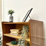 Scandinavian style vintage bookcase