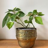 Brass planter 70s-80s