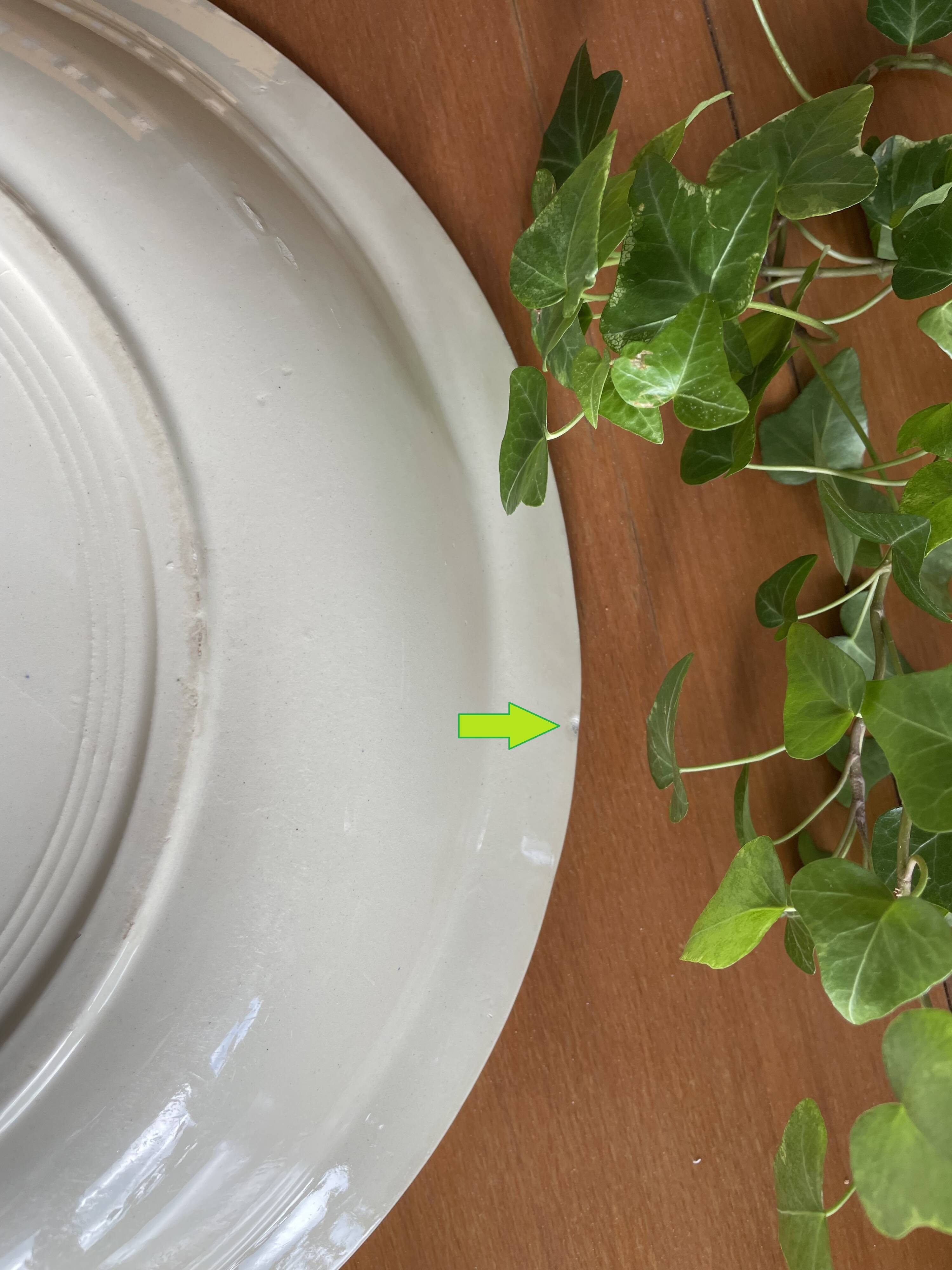 Large antique Sarreguemines earthenware salad bowl