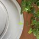 Large antique Sarreguemines earthenware salad bowl