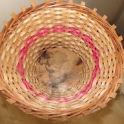Porte-plantes en rotin et osier