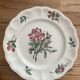 Flat plate K&G Luneville